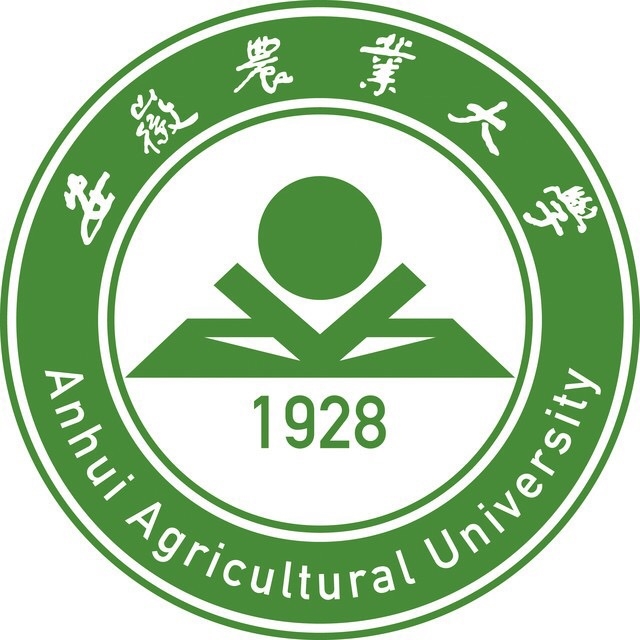 凯发国际